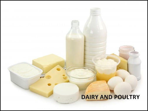 DAIRY AND POULTRY